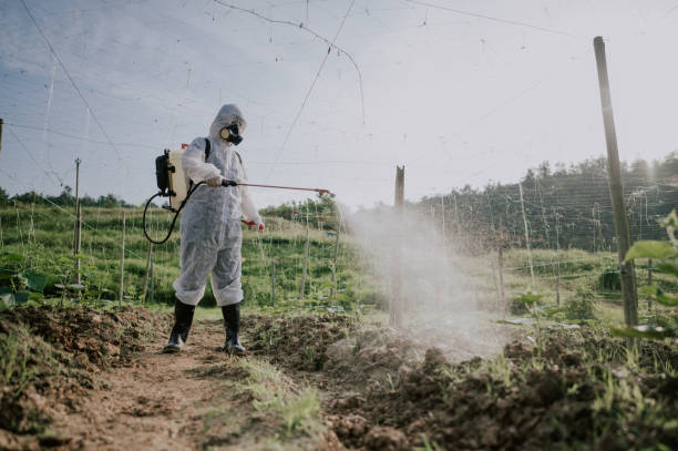 Best Local Pest Control Services  in Dash Point, WA