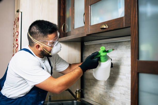 Best Affordable Pest Control Services  in Dash Point, WA