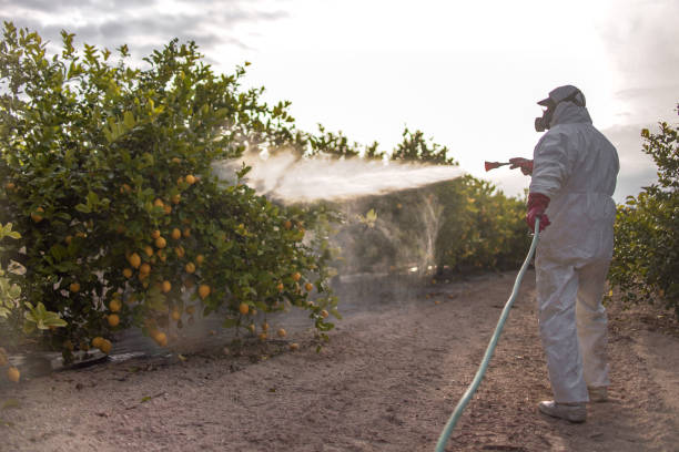Best Cockroach Control Services  in Dash Point, WA