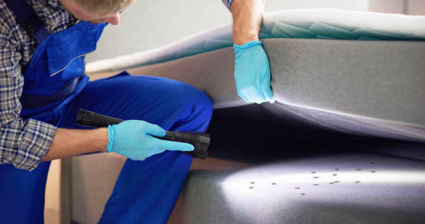 Best Best Pest Control Companies  in Dash Point, WA