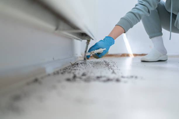 Best Rodent Control Near Me  in Dash Point, WA